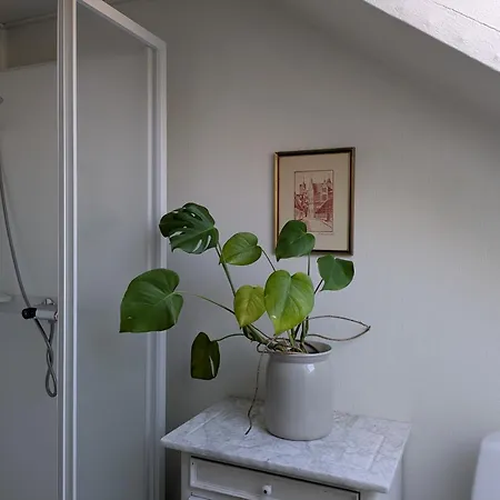 Restaurant Backhaus Hotel